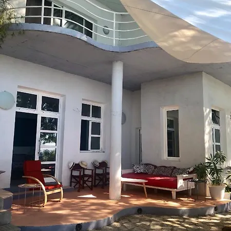 Villakorculastepintheblue